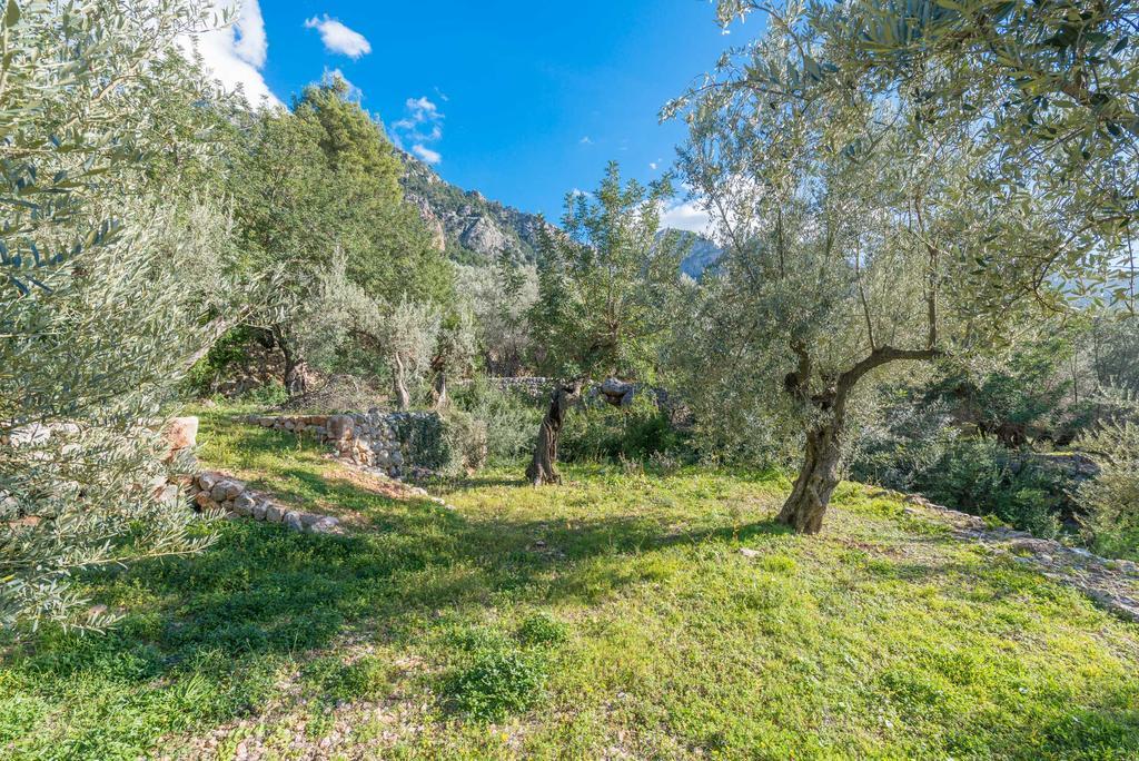 S'Olivaret Fornalutx Dış mekan fotoğraf